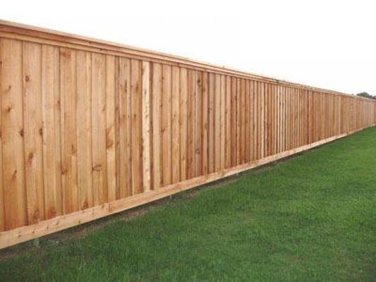 Cedar Fence