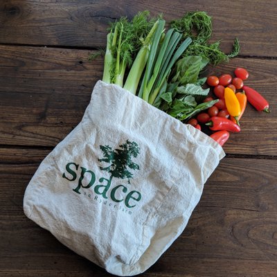 A CSA bag!