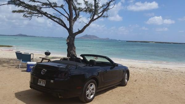 rented this awesome convertible stang at a great price thru this awesome company