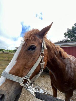 Country Farms Equestrian Center