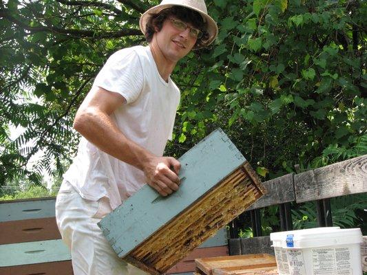 Champlain Valley Apiaries