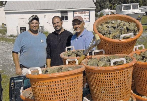 A small family owned business, specializing in fresh local oysters and crabs!