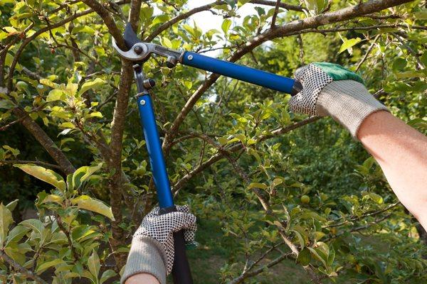 Blue Sky Window Cleaning & Landscaping Services