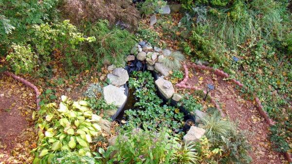 their garden "pond"