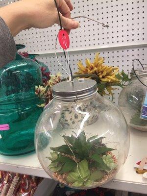 Plant terrarium? Not sure but I wanted it!