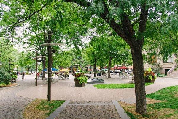 Oak Street Plaza in Old Town Fort Collins