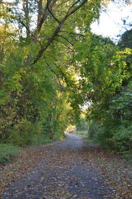 The bike trail