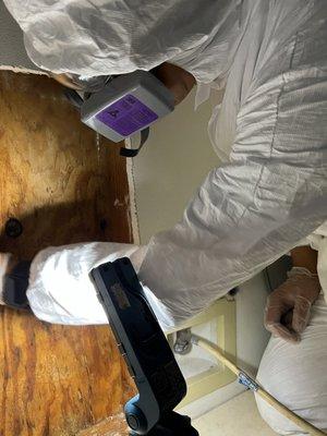 Mold remediation