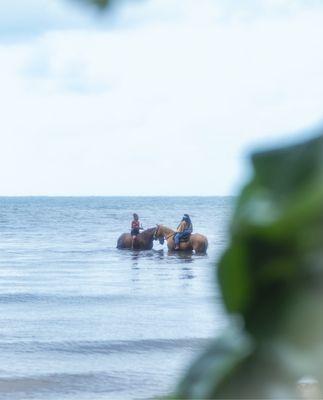 Aunty Leolani sharing her wisdom while we were in the water.