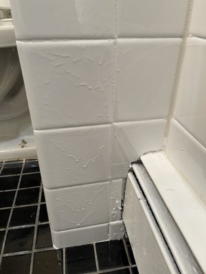 White Glove Bathtub and Tile Reglazing