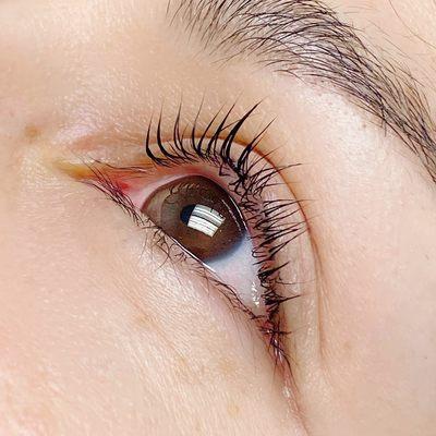 keratin eyelash lift