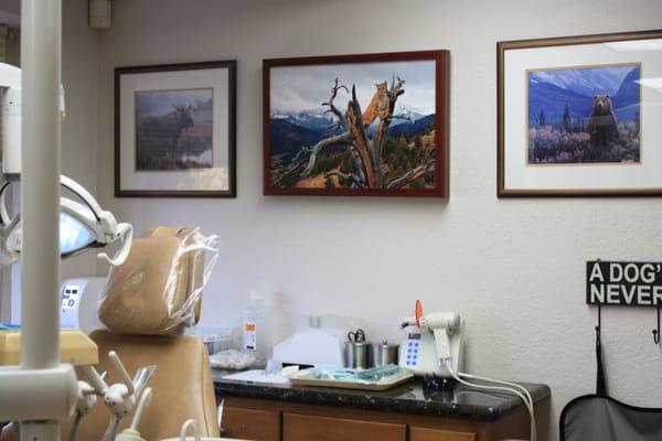 Operatories display nature artwork that makes patients feel at ease