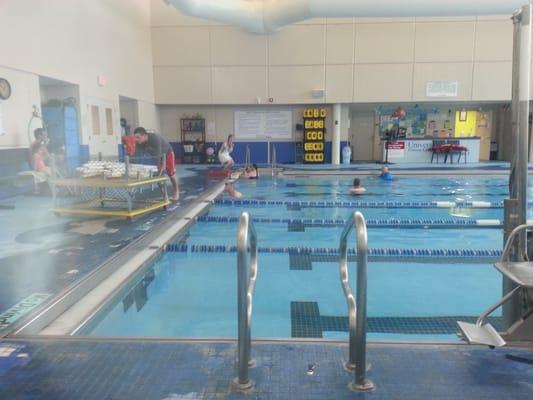 Swim instructors.  3 per class of about 9 students