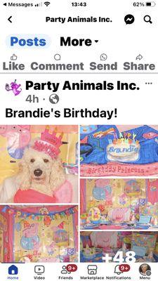 Birthday party at Party Animals.