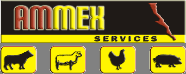 Ammex Services (Logo)