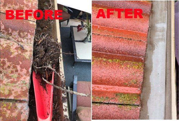 Gutter cleaning: We scoop up all the dirt and organic matter from the gutters before soft washing them.