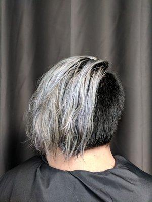 Velvet Black with Silver & Blonde lights coloring