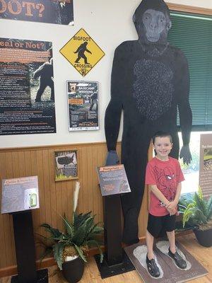 Bigfoot sighting area exhibit