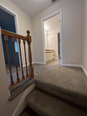 Carpeted stairs and staircase landing