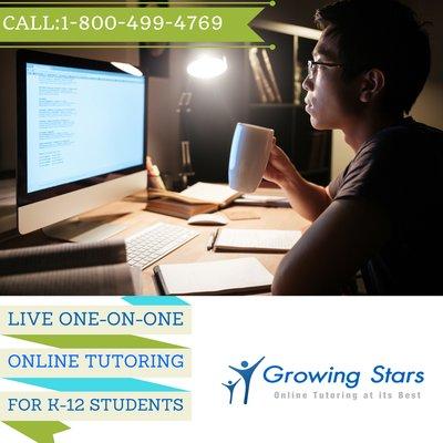 k-12 live tutoring