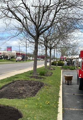 Mulching a commercial property.