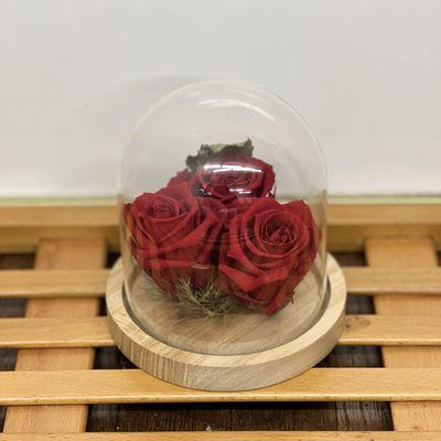 Preserved roses