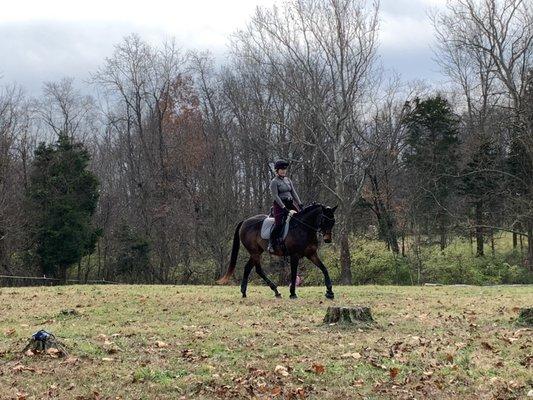 Working on dressage in our field