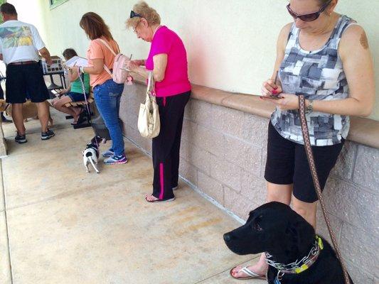 All the doggies lined up for their shots-2017