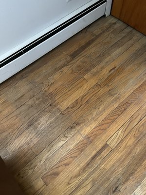 Wood Floor Cleaning. We use professional floor cleaning equipment's and chemicals.