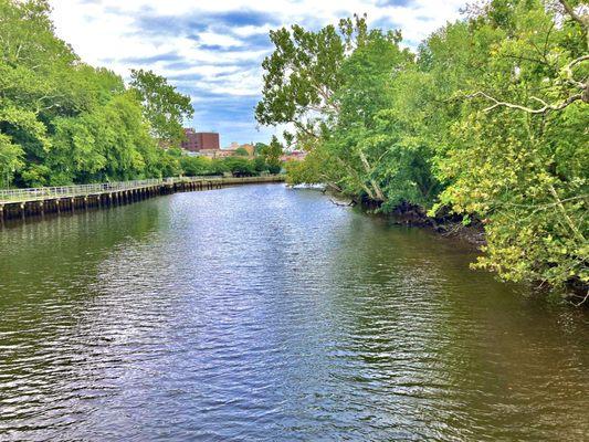 Waltman Park -- view of Maurice River from Waltman Park