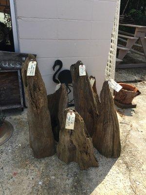 Selection of drift wood