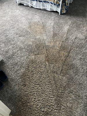 Clay stains in master bdrm morning after cleaning