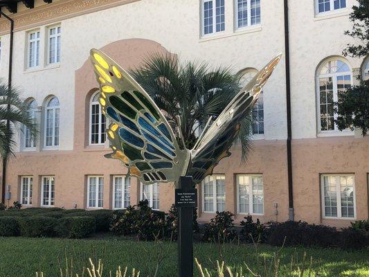 Butterfly in front of City Hall