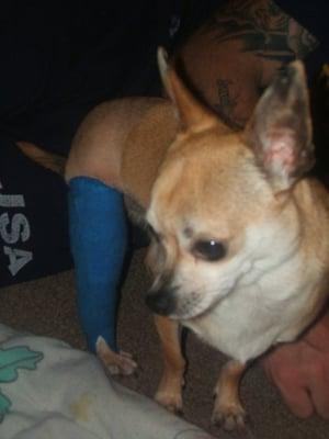 Dubie post-op knee surgery