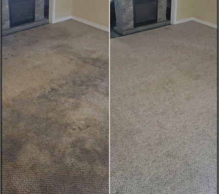 Before and after carpet cleaning.