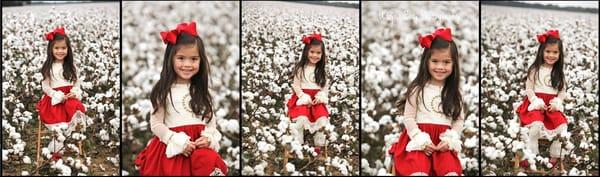 Fall Session in cotton fields of Baldwin County.