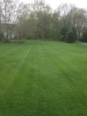 Lawn in Stow, Mass. fertilized by Elite Turf Care