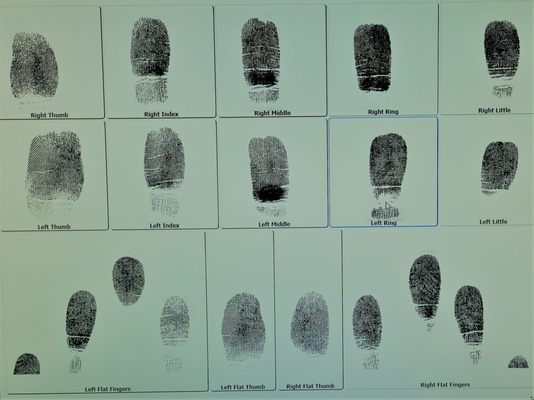 Livescan\MD™ Fingerprinting Services