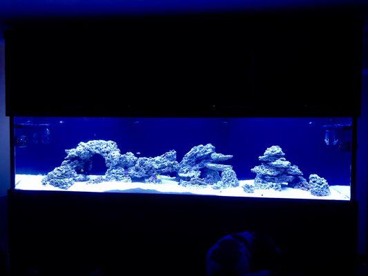 12' custom saltwater aquarium for an aquarium service client.  Initial startup prior to adding live coral.