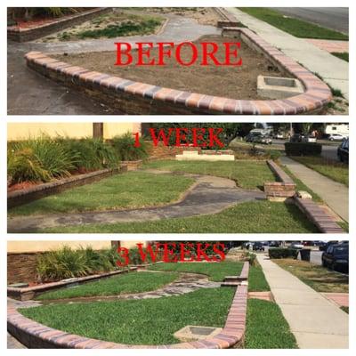 You still have plenty of time to get your new lawns installed.