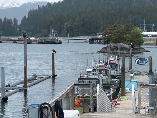 Islandview Charter boat docks.