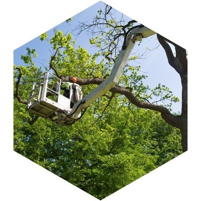 Kenny's Tree Service