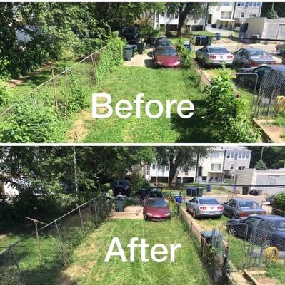 Yard Clean-Up: removes unwanted vegetation from the perimeter of the property.