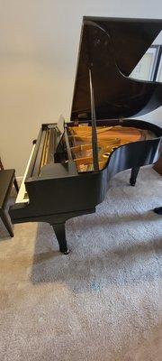 Grand piano's