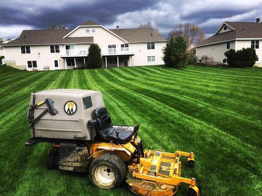 Awesome picture captured by one of our mow crew managers!