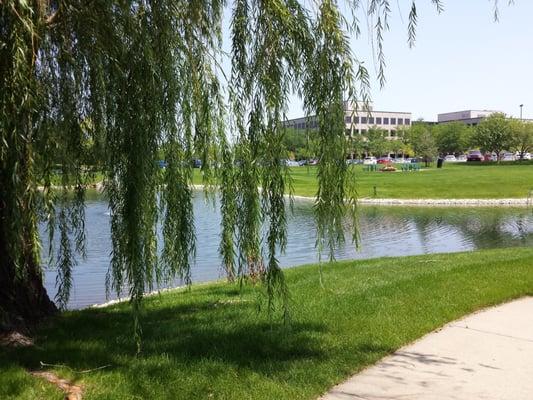 Nice pond on the grounds of the Wells Fargo building