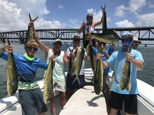 Summer 2017 Mahi fishing. Marathon FL Keys.