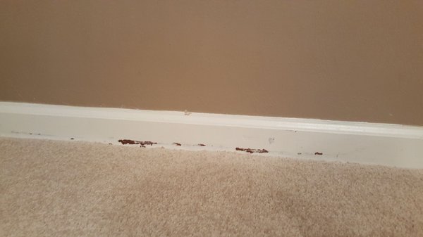 Baseboard damage