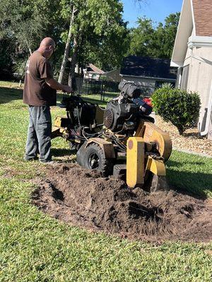 Have stumps in your yard, we can grind those away for you!