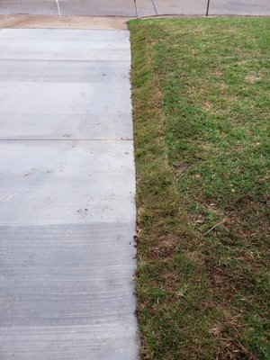 sod replaced after driveway completed